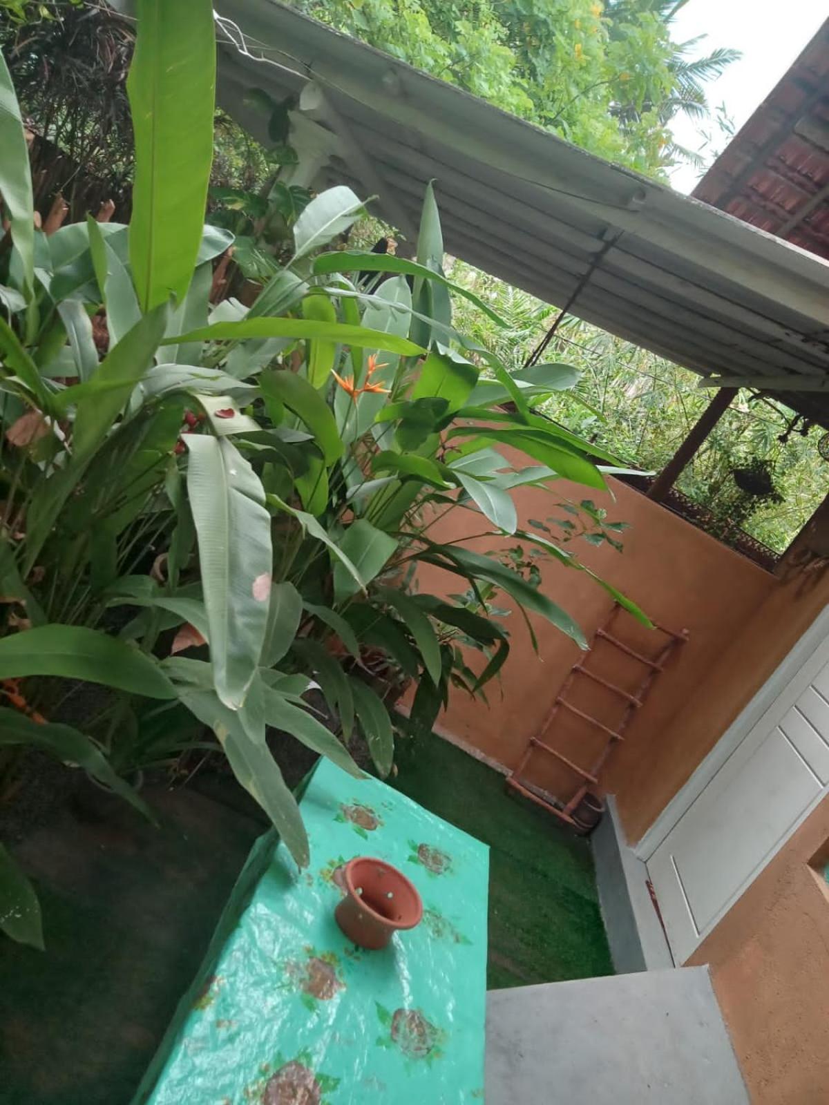 Appartement Hiriketiya Mahi Surf à Dikwella Extérieur photo